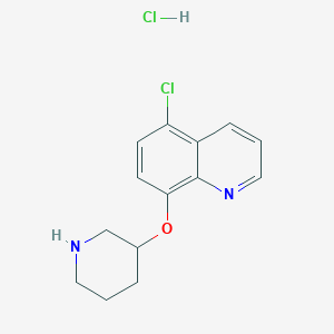 molecular formula C14H16Cl2N2O B1426536 5-Chloro-8-quinolinyl 3-piperidinyl ether hydrochloride CAS No. 1219979-64-2