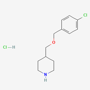molecular formula C13H19Cl2NO B1426537 4-(4-氯苄氧甲基)-哌啶盐酸盐 CAS No. 1220017-69-5