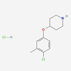 molecular formula C12H17Cl2NO B1426538 4-(4-Chloro-3-methylphenoxy)piperidine hydrochloride CAS No. 1220028-22-7