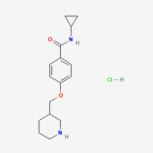 B1426642 N-cyclopropyl-4-(piperidin-3-ylmethoxy)benzamide hydrochloride CAS No. 1332530-77-4