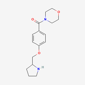molecular formula C16H22N2O3 B1426667 4-[4-(Pyrrolidin-2-ylmethoxy)benzoyl]morpholine hydrochloride CAS No. 1306739-22-9