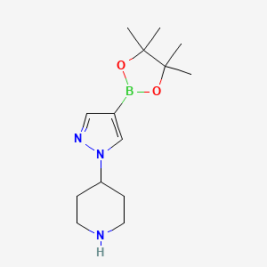 molecular formula C14H24BN3O2 B1426730 4-(4-(4,4,5,5-tetramethyl-1,3,2-dioxaborolan-2-yl)-1H-pyrazol-1-yl)piperidine CAS No. 1175708-03-8