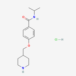 molecular formula C16H25ClN2O2 B1426777 盐酸 N-异丙基-4-(哌啶-4-基甲氧基)苯甲酰胺 CAS No. 1332530-83-2