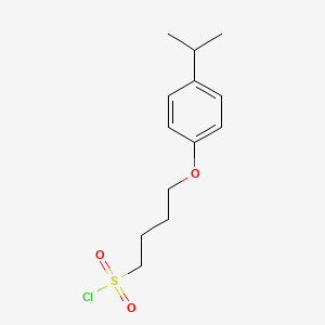 molecular formula C13H19ClO3S B1426944 4-[4-(Propan-2-yl)phenoxy]butane-1-sulfonyl chloride CAS No. 1341540-99-5