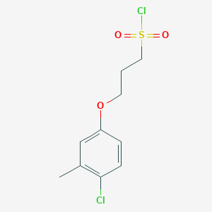 molecular formula C10H12Cl2O3S B1426964 3-(4-氯-3-甲基苯氧基)丙烷-1-磺酰氯 CAS No. 1018340-71-0