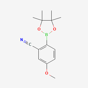 B1427281 5-Methoxy-2-(tetramethyl-1,3,2-dioxaborolan-2-yl)benzonitrile CAS No. 1116097-04-1