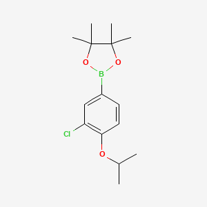 molecular formula C15H22BClO3 B1427301 3-氯-4-异丙氧基苯硼酸二缩水甘油酯 CAS No. 1260023-79-7