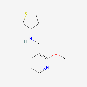 molecular formula C11H16N2OS B1427593 N-[(2-methoxypyridin-3-yl)methyl]thiolan-3-amine CAS No. 1178672-73-5