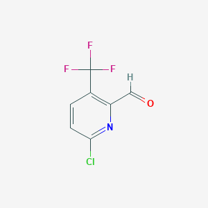 molecular formula C7H3ClF3NO B1427731 6-氯-3-(三氟甲基)吡啶甲醛 CAS No. 1245914-65-1