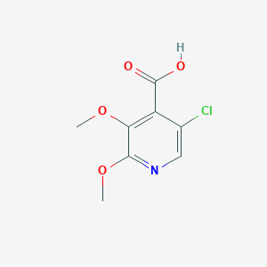 molecular formula C8H8ClNO4 B1427748 5-氯-2,3-二甲氧基异烟酸 CAS No. 1305324-74-6