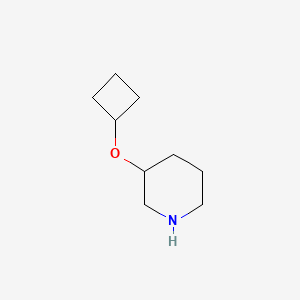 molecular formula C9H17NO B1427942 3-Cyclobutoxypiperidine CAS No. 1250347-74-0