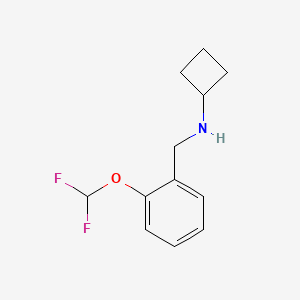 molecular formula C12H15F2NO B1427987 N-{[2-(Difluoromethoxy)phenyl]methyl}cyclobutanamine CAS No. 1249636-03-0