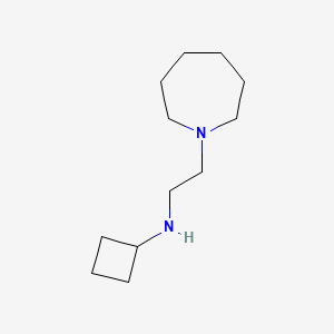 molecular formula C12H24N2 B1428008 N-[2-(氮杂环戊-1-基)乙基]环丁胺 CAS No. 1248947-58-1