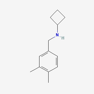 B1428074 N-[(3,4-dimethylphenyl)methyl]cyclobutanamine CAS No. 1249107-70-7