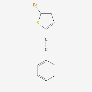 molecular formula C12H7BrS B14281370 2-Bromo-5-(phenylethynyl)thiophene CAS No. 154355-90-5