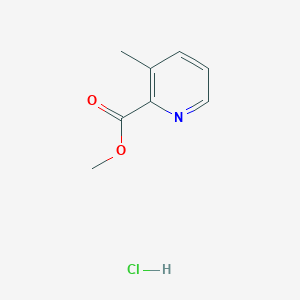 molecular formula C8H10ClNO2 B1428296 3-甲基吡啶-2-甲酸甲酯盐酸盐 CAS No. 1373029-27-6