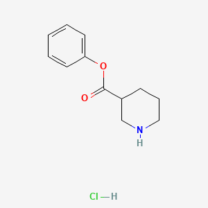 Phenyl piperidine-3-carboxylate;hydrochloride