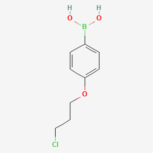 B1428543 (4-(3-Chloropropoxy)phenyl)boronic acid CAS No. 1182283-83-5