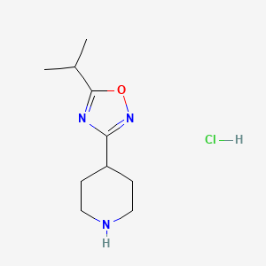 B1428554 5-Isopropyl-3-(piperidin-4-yl)-1,2,4-oxadiazole hydrochloride CAS No. 913264-44-5