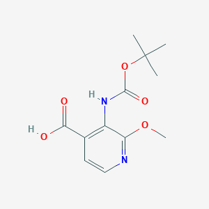 molecular formula C12H16N2O5 B1428583 3-(叔丁氧羰基氨基)-2-甲氧基异烟酸 CAS No. 870997-82-3
