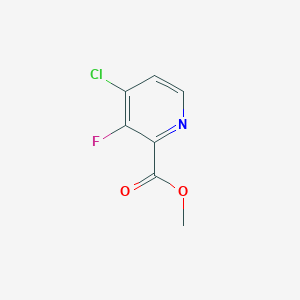 molecular formula C7H5ClFNO2 B1428620 4-氯-3-氟吡啶甲酸甲酯 CAS No. 1034921-05-5