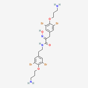 molecular formula C23H28Br4N4O4 B14286462 Purealidin C CAS No. 138590-56-4