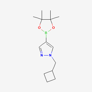 molecular formula C14H23BN2O2 B1428744 1-(环丁基甲基)-4-(4,4,5,5-四甲基-1,3,2-二氧杂硼环-2-基)-1H-吡唑 CAS No. 1233526-47-0