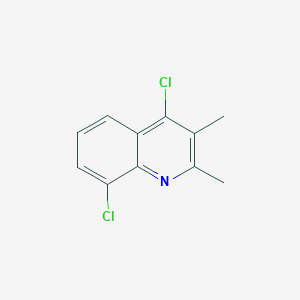 molecular formula C11H9Cl2N B1428757 4,8-二氯-2,3-二甲基喹啉 CAS No. 1203-46-9