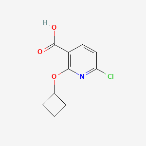 molecular formula C10H10ClNO3 B1429004 6-Chloro-2-cyclobutoxypyridine-3-carboxylic acid CAS No. 1343804-87-4
