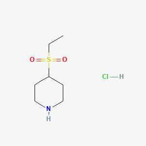 molecular formula C7H16ClNO2S B1429063 4-(Ethanesulfonyl)piperidine hydrochloride CAS No. 1147107-63-8