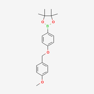 molecular formula C20H25BO4 B1429185 2-{4-[(4-甲氧苯基)甲氧基]苯基}-4,4,5,5-四甲基-1,3,2-二氧杂硼环丁烷 CAS No. 1059066-01-1