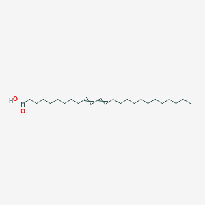 Pentacosa-10,12-dienoic acid