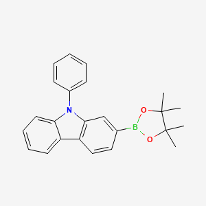 molecular formula C24H24BNO2 B1429268 9-苯基-2-(4,4,5,5-四甲基-1,3,2-二氧杂硼环-2-基)-9H-咔唑 CAS No. 1246669-45-3