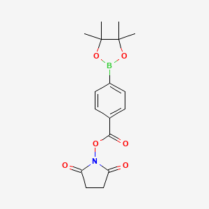 molecular formula C17H20BNO6 B1429288 2,5-Dioxopyrrolidin-1-yl 4-(4,4,5,5-tetramethyl-1,3,2-dioxaborolan-2-yl)benzoate CAS No. 377780-81-9
