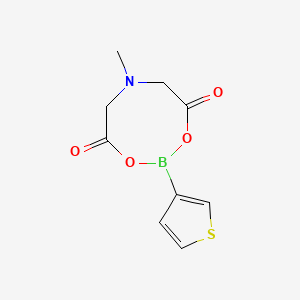 molecular formula C9H10BNO4S B1429308 6-Methyl-2-(thiophen-3-yl)-1,3,6,2-dioxazaborocane-4,8-dione CAS No. 1604722-27-1