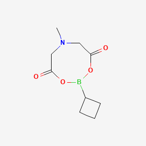molecular formula C9H14BNO4 B1429335 2-环丁基-6-甲基-1,3,6,2-二噁杂硼杂环丁烷-4,8-二酮 CAS No. 1104637-37-7
