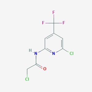 molecular formula C8H5Cl2F3N2O B1429417 2-氯-N-(6-氯-4-三氟甲基-吡啶-2-基)-乙酰胺 CAS No. 1311279-82-9