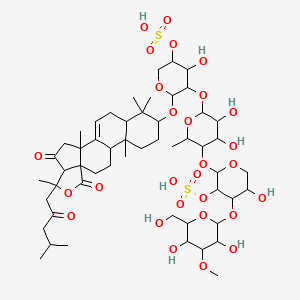 molecular formula C53H82O28S2 B14294951 Cucumechinoside B CAS No. 125640-31-5