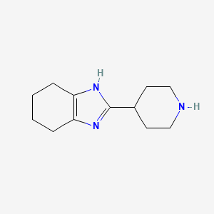 molecular formula C12H19N3 B1429733 2-(Piperidin-4-YL)-4,5,6,7-tetrahydro-1H-1,3-benzodiazole CAS No. 26751-34-8