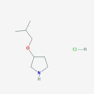 B1429943 3-(2-Methylpropoxy)pyrrolidine hydrochloride CAS No. 1394042-72-8