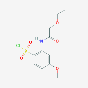 molecular formula C11H14ClNO5S B1429988 2-(2-Ethoxyacetamido)-4-methoxybenzene-1-sulfonyl chloride CAS No. 1427379-29-0