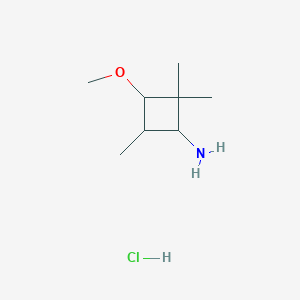 molecular formula C8H18ClNO B1430001 3-甲氧基-2,2,4-三甲基环丁-1-胺盐酸盐 CAS No. 1432681-82-7