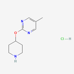molecular formula C10H16ClN3O B1430038 5-甲基-2-(哌啶-4-氧基)嘧啶盐酸盐 CAS No. 1432679-14-5
