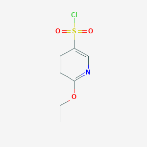 molecular formula C7H8ClNO3S B1430059 6-乙氧基吡啶-3-磺酰氯 CAS No. 1443980-74-2