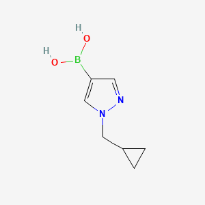 molecular formula C7H11BN2O2 B1430248 1-(Cyclopropylmethyl)pyrazole-4-boronic acid CAS No. 1983202-21-6