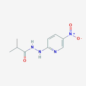 molecular formula C9H12N4O3 B1430322 2-甲基-N'-(5-硝基吡啶-2-基)丙酰肼 CAS No. 1329296-85-6