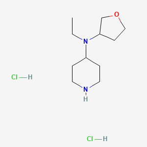 molecular formula C11H24Cl2N2O B1430455 N-Ethyl-N-(tetrahydrofuran-3-yl)piperidin-4-amine dihydrochloride CAS No. 1439823-16-1