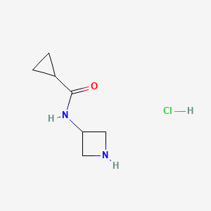 molecular formula C7H13ClN2O B1430682 N-(azetidin-3-yl)cyclopropanecarboxamide hydrochloride CAS No. 1803599-44-1