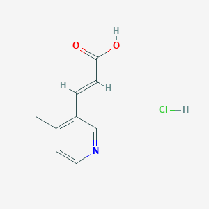 molecular formula C9H10ClNO2 B1430699 3-(4-Methylpyridin-3-yl)prop-2-enoic acid hydrochloride CAS No. 1461726-88-4