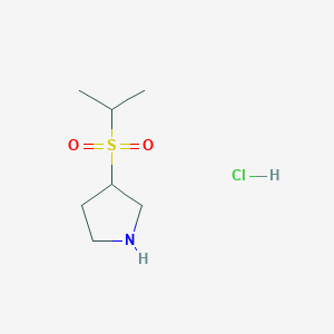 B1430907 3-(Propane-2-sulfonyl)pyrrolidine hydrochloride CAS No. 1864064-35-6